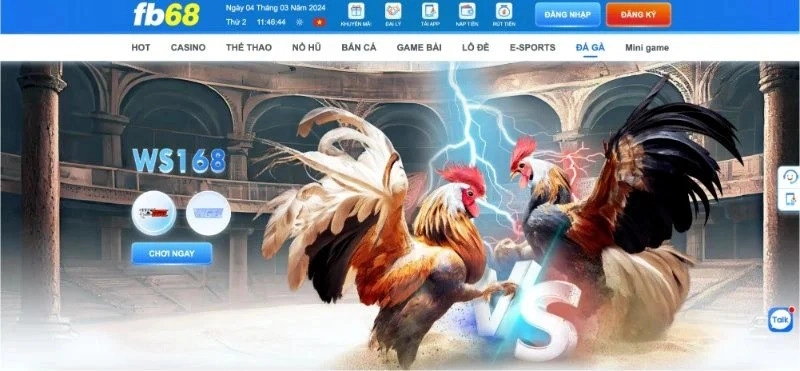 Đá gà Fb68 mang đến cơ hội giải trí đẳng cấp, độc đáo